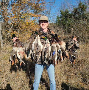 Meet your Posher, Jackson